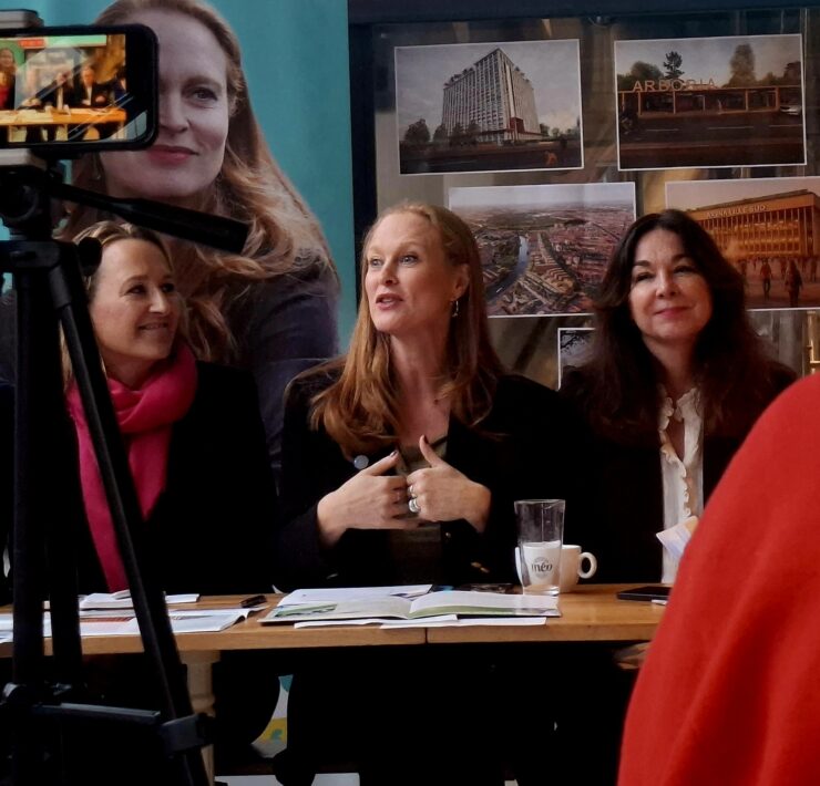 Violette Spillebout, muncipales 2026, programme