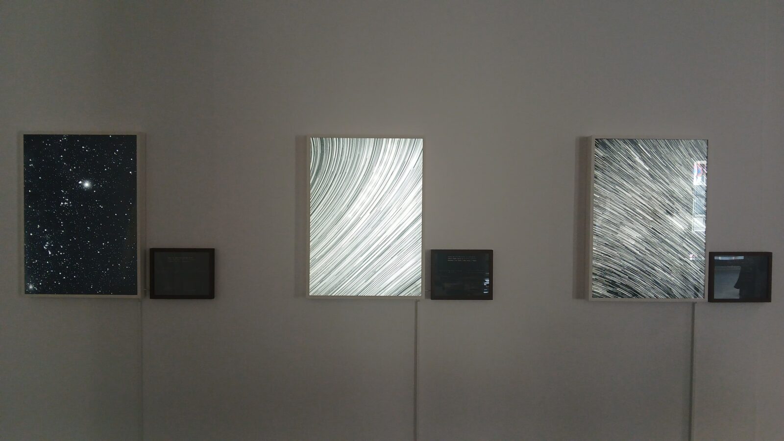 Des œuvres de Hideyuki Ishibashi exposées à l’Espace Le Carré.