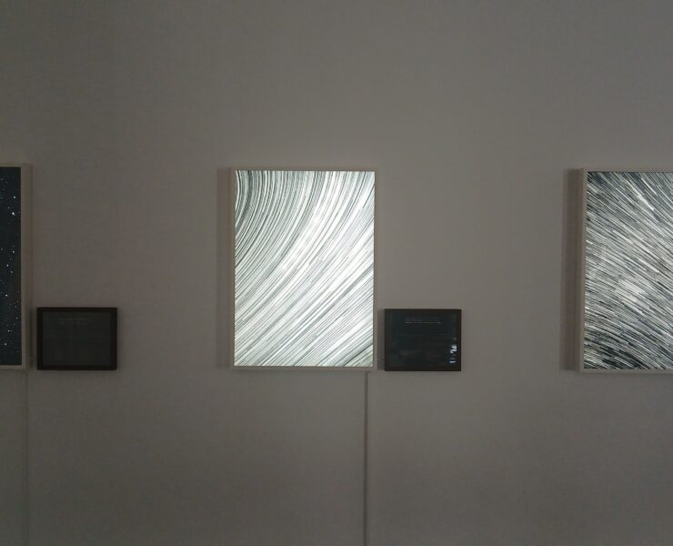 Des œuvres de Hideyuki Ishibashi exposées à l’Espace Le Carré.